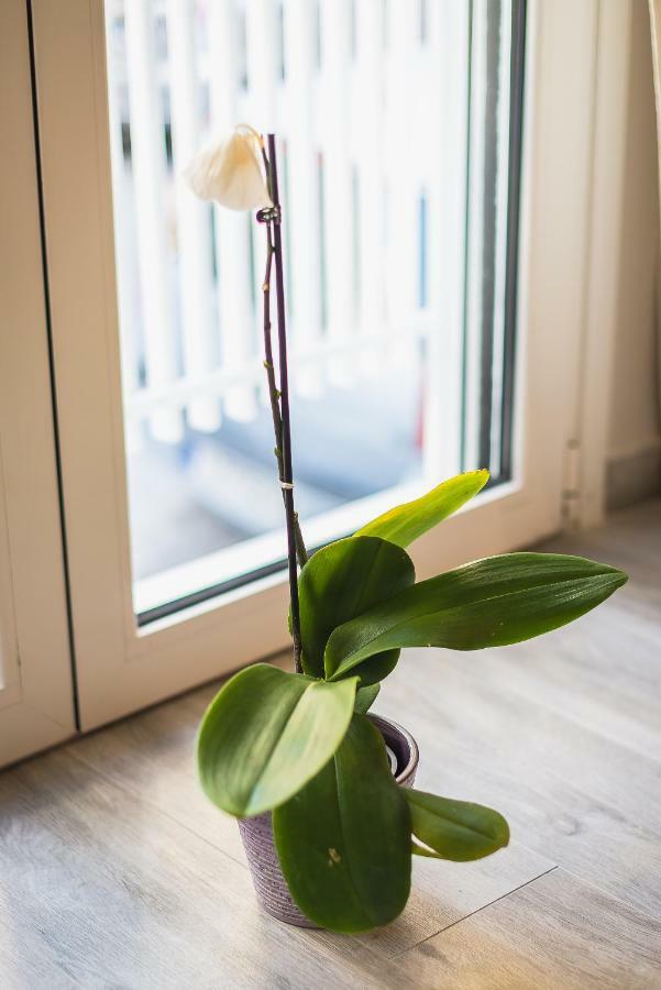 "Sunbow Earth"- Boutique New Apt In Dowtown Атина Екстериор снимка